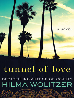 cover image of Tunnel of Love